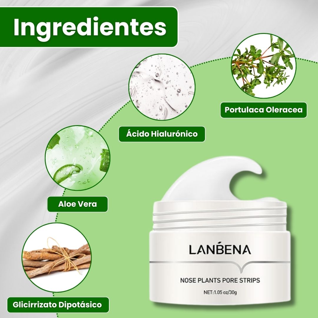 Mascarilla Lanbena®
