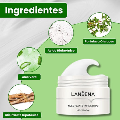 Mascarilla Lanbena®